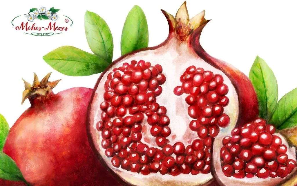 kommunikáció tervezés grafika